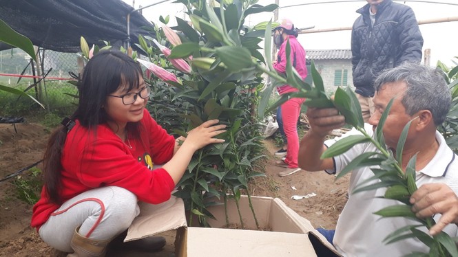 Bên trong vựa hoa lớn nhất Bắc Giang ngày giáp Tết - ảnh 3