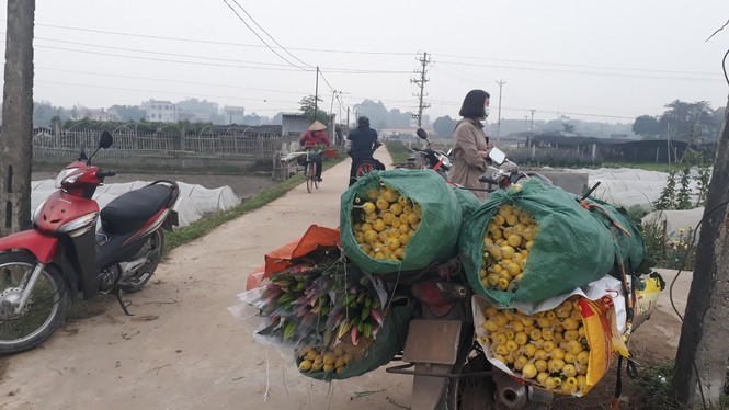 Bên trong vựa hoa lớn nhất Bắc Giang ngày giáp Tết - ảnh 9