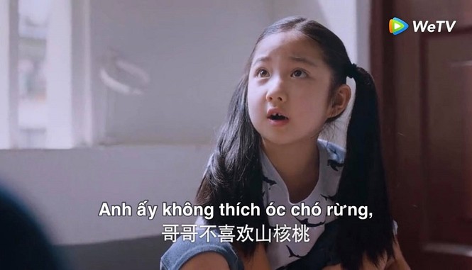 Lấy Danh Nghĩa Người Nhà: Lý Tiêm Tiêm