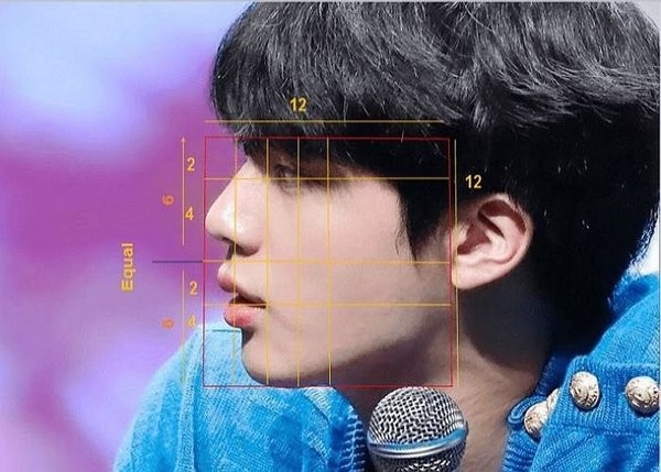Phân tích khoa học như thế nào mà Jin (BTS) lọt vào Top 3 Gương mặt hoàn hảo nhất Thế giới? - ảnh 2