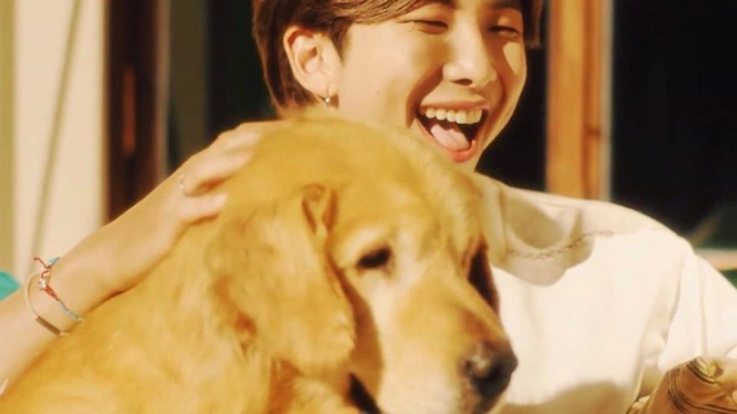 BTS đẹp trai ôn nhu dịu dàng đúng chuẩn