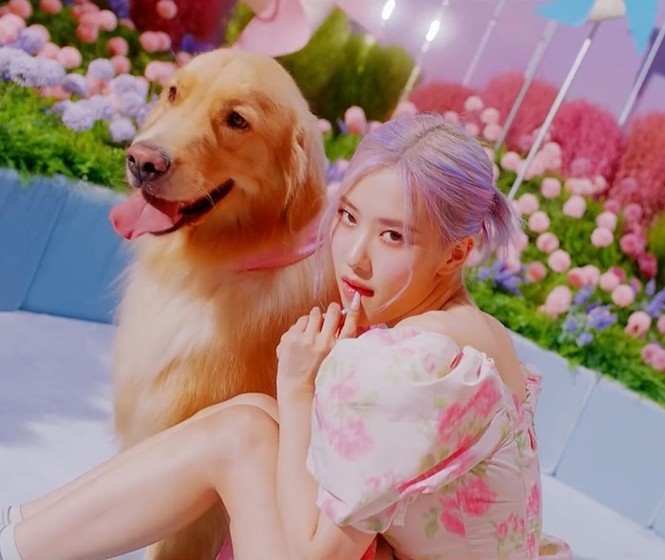 Diện váy Moschino xinh như công chúa nhưng Rosé BLACKPINK chỉ dùng mỹ phẩm bình dân - ảnh 4