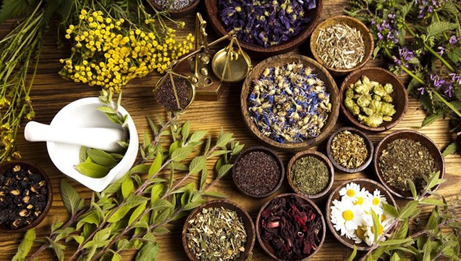 Liệu dầu gội thảo mộc có khả năng