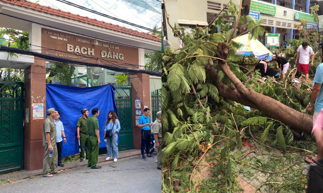 Vụ cây phượng bật gốc tại trường học: Học sinh lớp 6 khóc nức nở khi nghe tin bạn tử vong - ảnh 1