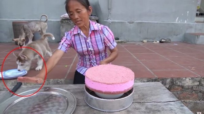 Bà Tân Vlog