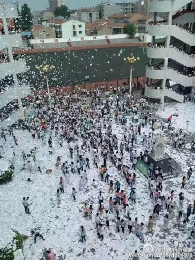 Dân mạng tranh cãi nảy lửa trước hình ảnh sách vở bị vứt bừa bãi ngoài đường sau kì thi - ảnh 3