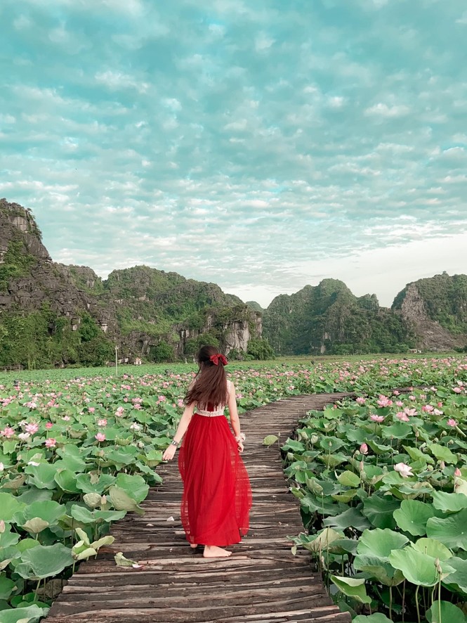 Ninh Bình sau dịch COVID-19: Đầm sen Hang Múa là điểm nhấn thu hút khách du lịch - ảnh 4