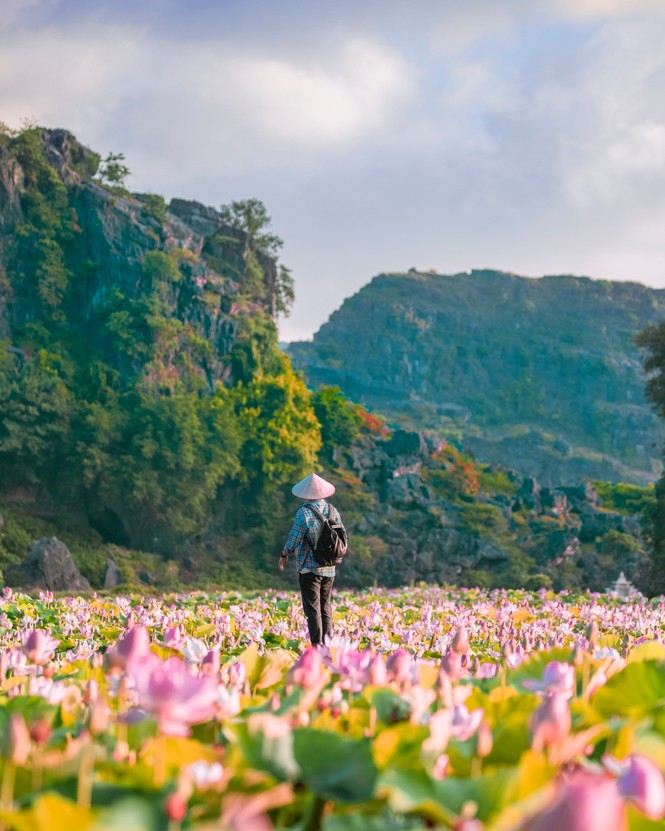 Ninh Bình sau dịch COVID-19: Đầm sen Hang Múa là điểm nhấn thu hút khách du lịch - ảnh 2
