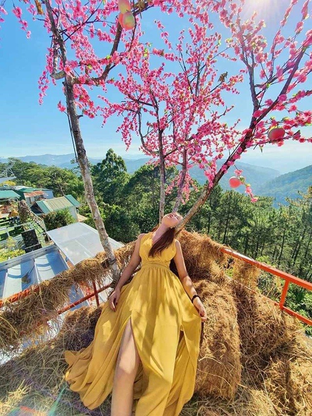 Bộ ảnh