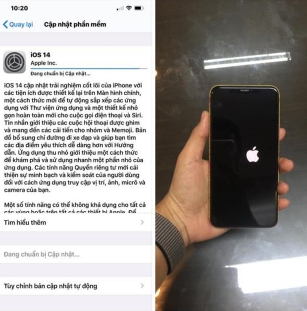 Sau khi nâng cấp iPhone của mình lên iOS 14, chàng trai này nhận được hẳn... 7 trái táo - ảnh 2