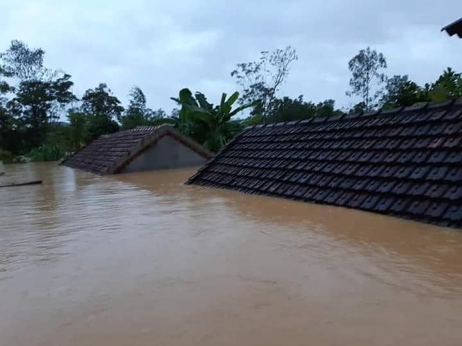 Cảnh tượng xót xa: Nhiều nơi tại Nghệ An ngập sâu trong nước lũ, khu vực biển bị sập bờ kè - ảnh 1