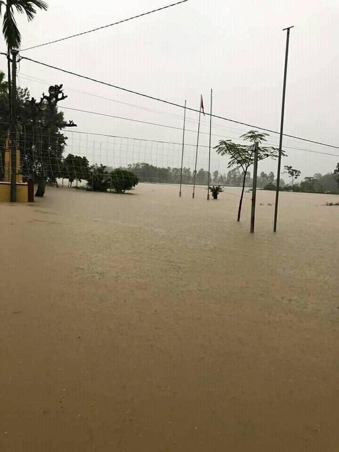 Cảnh tượng xót xa: Nhiều nơi tại Nghệ An ngập sâu trong nước lũ, khu vực biển bị sập bờ kè - ảnh 3