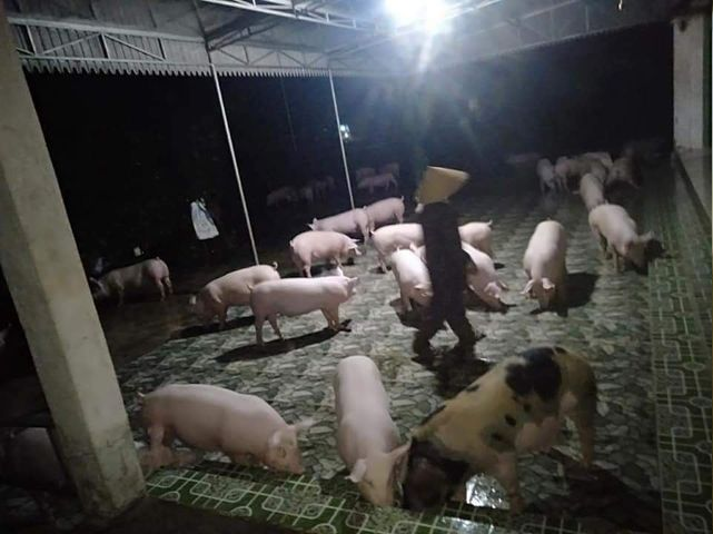 Cảnh tượng xót xa: Nhiều nơi tại Nghệ An ngập sâu trong nước lũ, khu vực biển bị sập bờ kè - ảnh 11