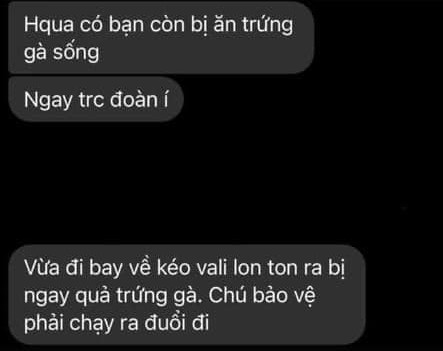 Hàng loạt tiếp viên của Vietnam Airlines đăng hashtag xin lỗi, mong được đối xử văn minh - ảnh 2
