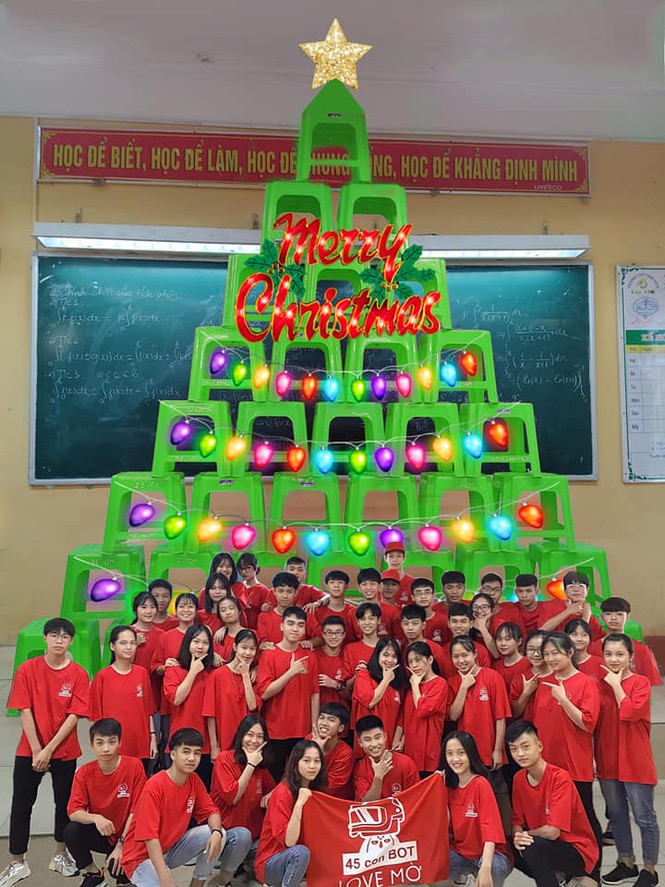 Cây thông có