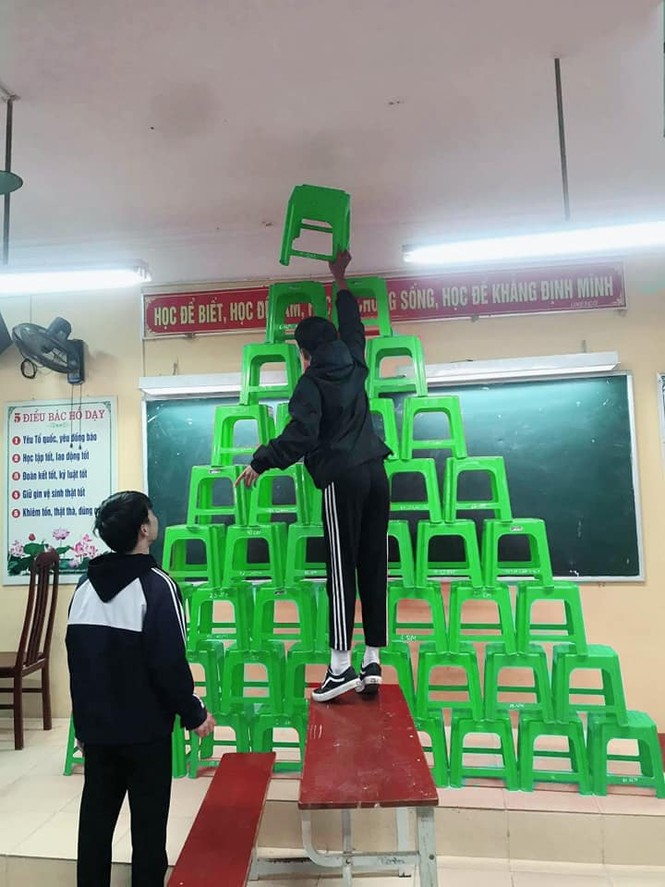 Cây thông có