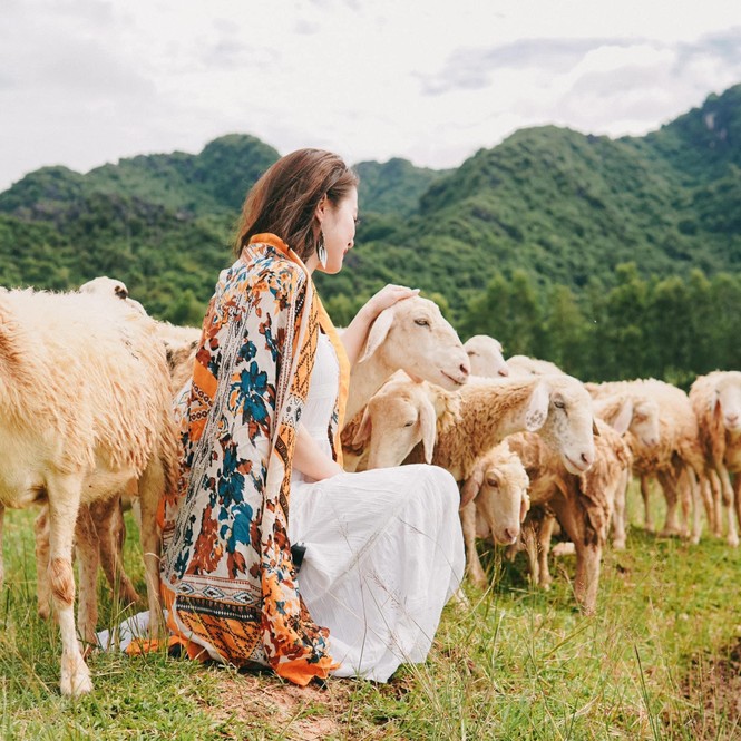 Hang Múa, đồng cừu Gia Viễn (Ninh Bình) lọt top điểm