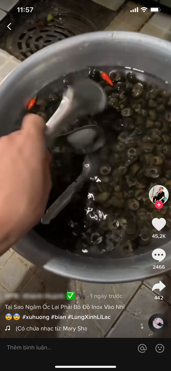 Chàng trai hỏi