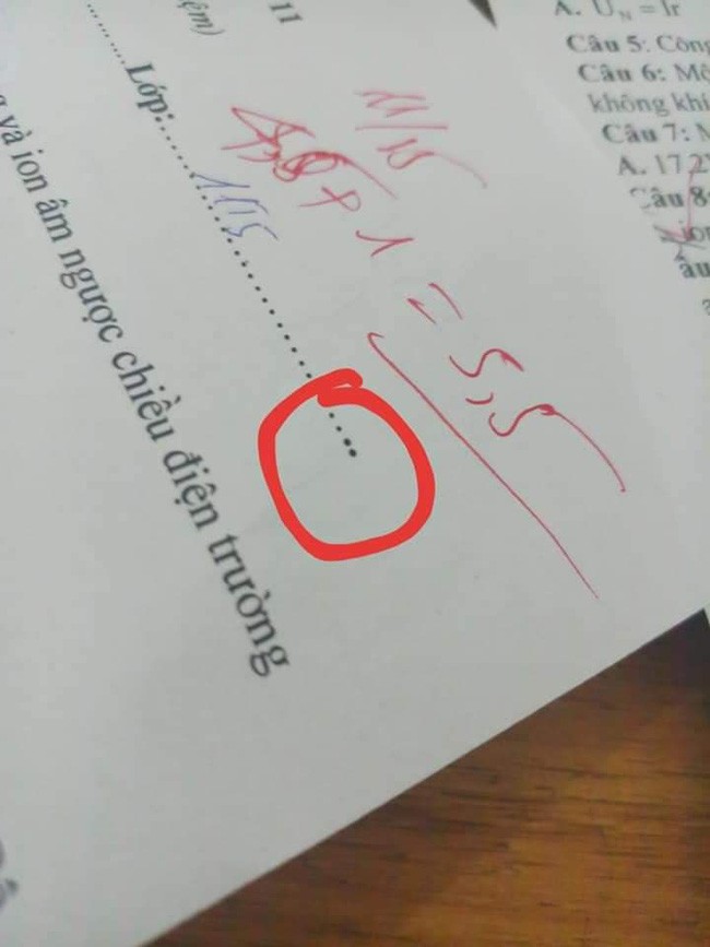 Cách đánh mã đề