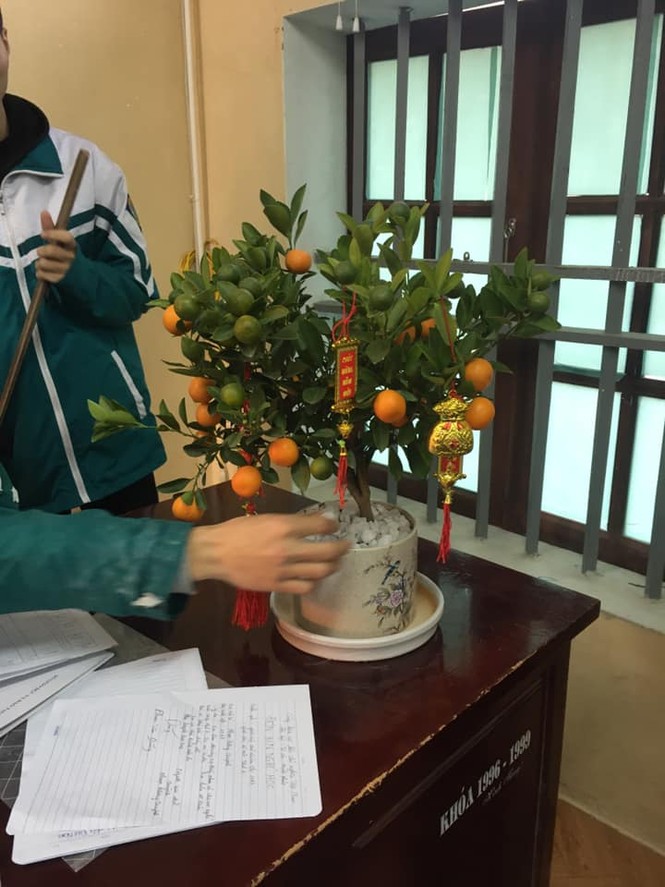 Các bạn học sinh trang trí lớp học đón Tết: Thoả sức sáng tạo và khoe độ khéo tay! - ảnh 12