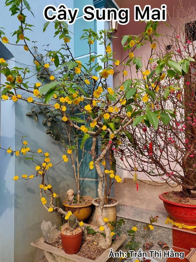 Một công ty