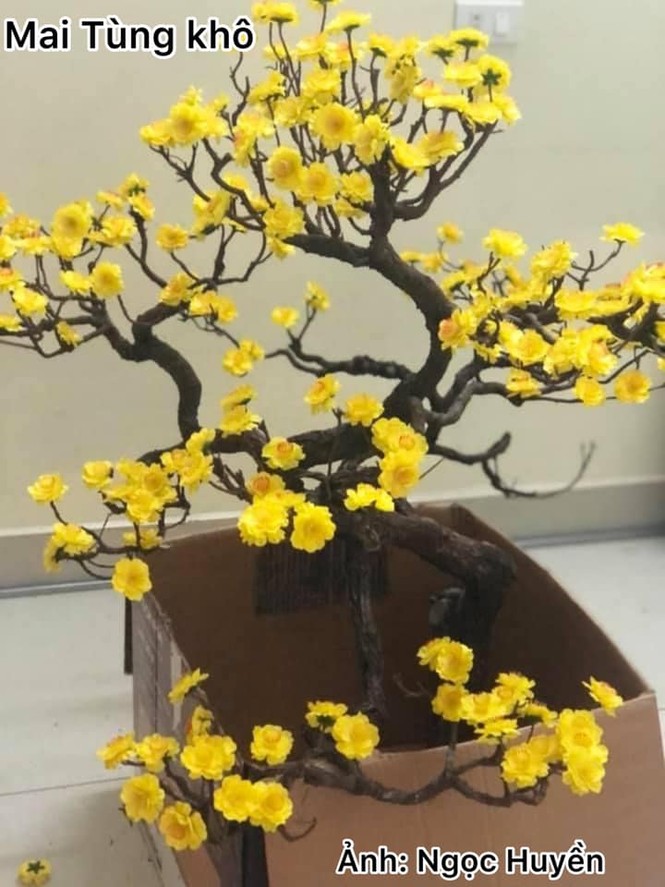 Một công ty