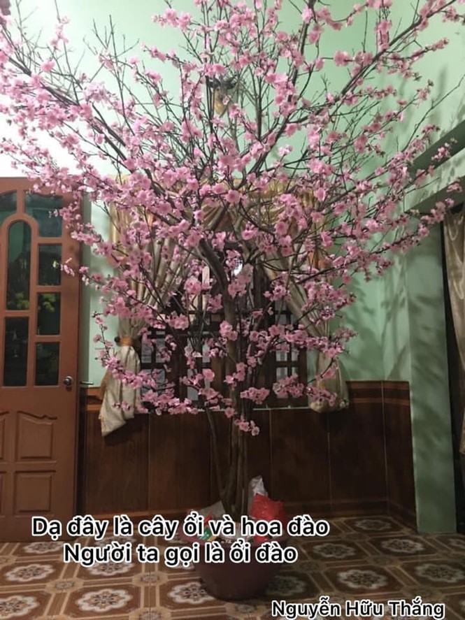 Một công ty