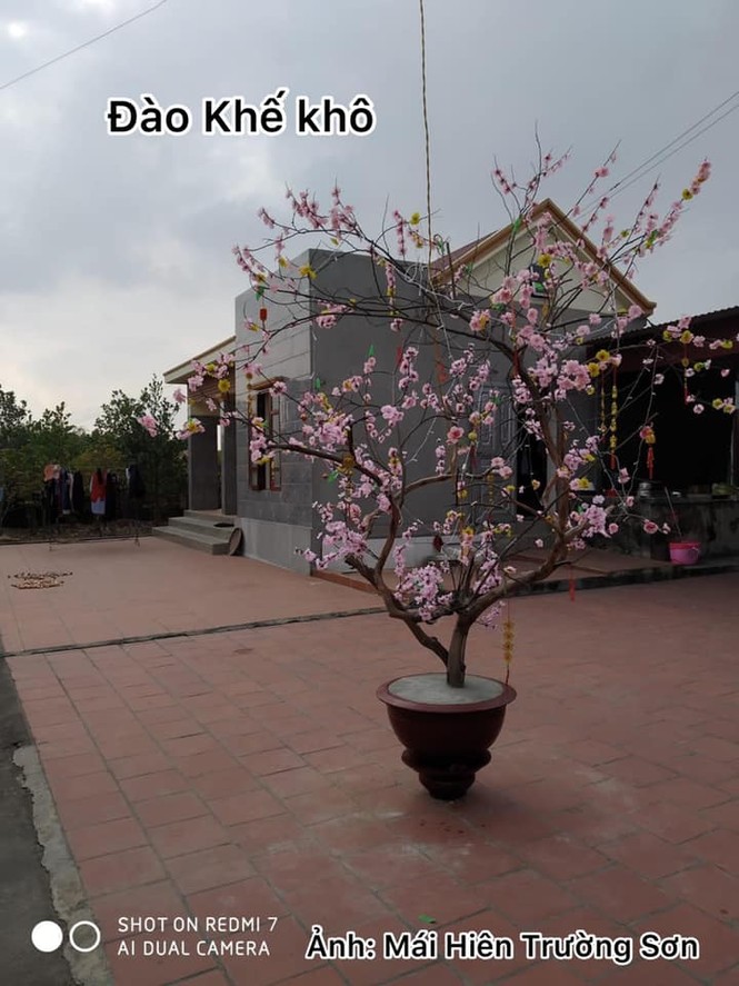 Một công ty