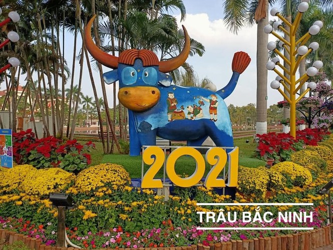 Loạt linh vật năm mới Tân Sửu khắp các tỉnh thành trên cả nước: Mỗi trâu một vẻ, - ảnh 8