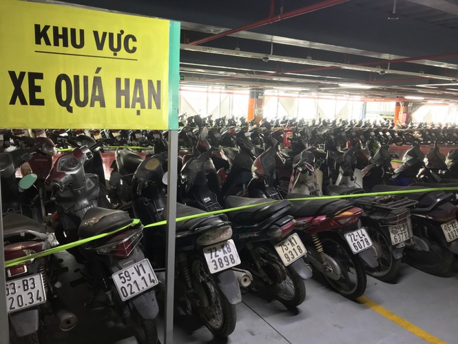 Hàng trăm xe máy 'nằm vạ' nhiều năm ở sân bay Tân Sơn Nhất - ảnh 2