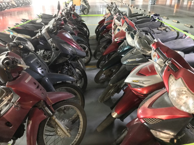 Hàng trăm xe máy 'nằm vạ' nhiều năm ở sân bay Tân Sơn Nhất - ảnh 10