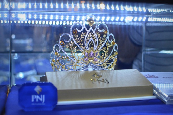 Bưởi có hình bản đồ Việt Nam xuất hiện giữa Thủ đô - ảnh 1
