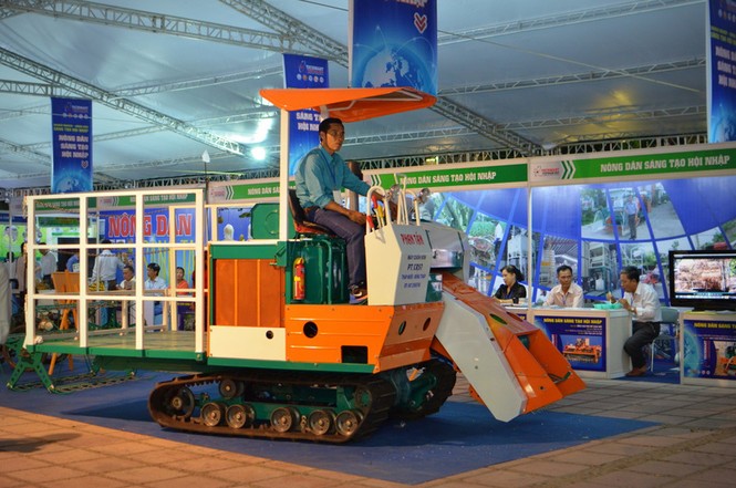 Bưởi có hình bản đồ Việt Nam xuất hiện giữa Thủ đô - ảnh 7