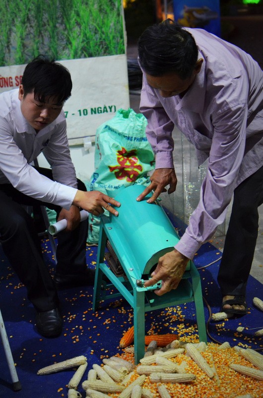 Bưởi có hình bản đồ Việt Nam xuất hiện giữa Thủ đô - ảnh 5