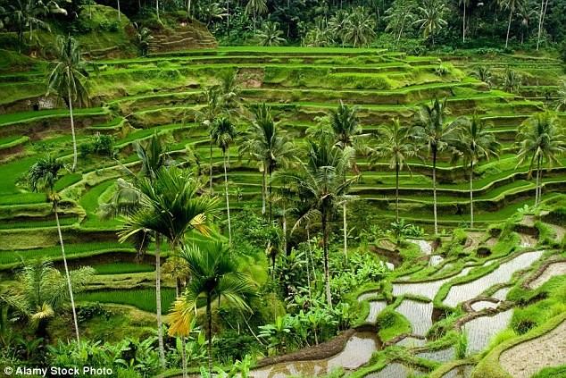 Cape Town vượt Bali thành nơi nghỉ dưỡng ăn uống rẻ nhất thế giới - ảnh 2