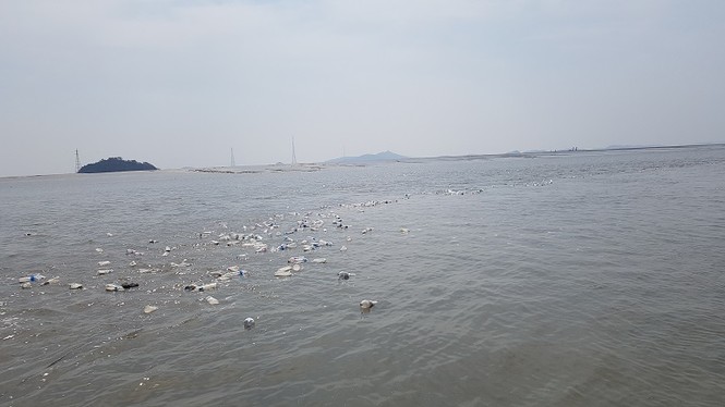 Lo ngại chiến tranh, dân Hàn gửi gạo trôi về Triều Tiên - ảnh 1