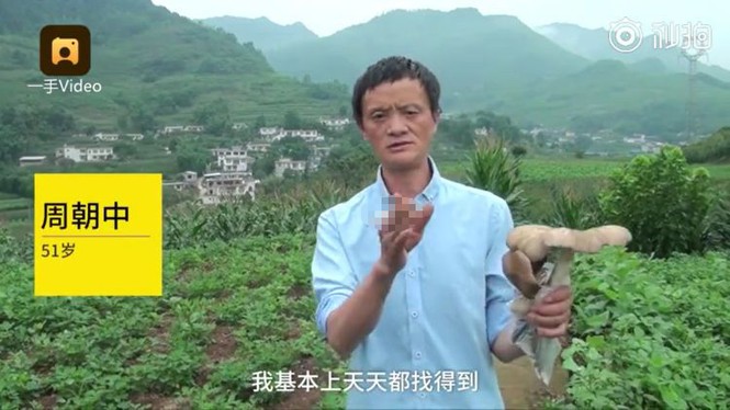 Bản sao tỉ phú Jack Ma đứng giữa đường bán nấm dại - ảnh 2
