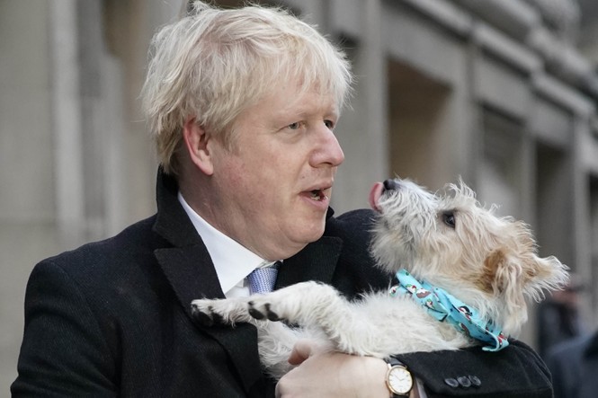 Tổng tuyển cử Anh: Thủ tướng Boris Johnson dắt chó đi bỏ phiếu - ảnh 3