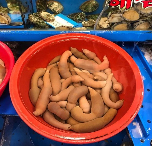 Tròn mắt nhìn 'cá dương vật' nằm la liệt trên bãi biển sau bão lớn - ảnh 3