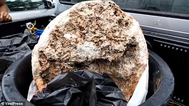 Ngư dân phát hiện khối u nghi là 'bãi nôn cá voi', có giá 74 tỉ đồng - ảnh 2