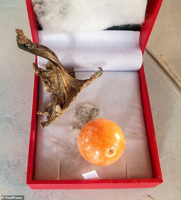 Bite on a billion orange pearl while eating a boiled snail - photo 7