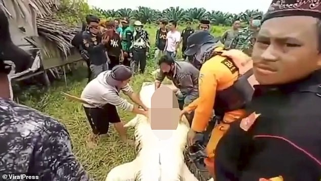 Indonesia: Cutting the belly of the giant crocodile, he found the child's body still intact - photo 2