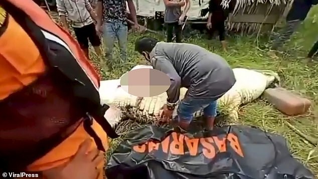 Indonesia: Cutting the belly of the giant crocodile, he found the child's body still intact - photo 4