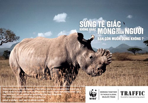 sừng tê giác giả săn trộm buôn bán động vật hoang dã - ảnh 2