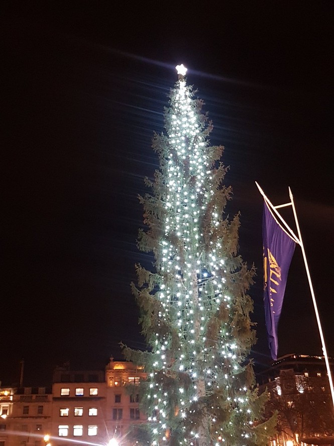 cây thông Giáng sinh Noel quảng trường Anh rừng Na Uy Rome - ảnh 3