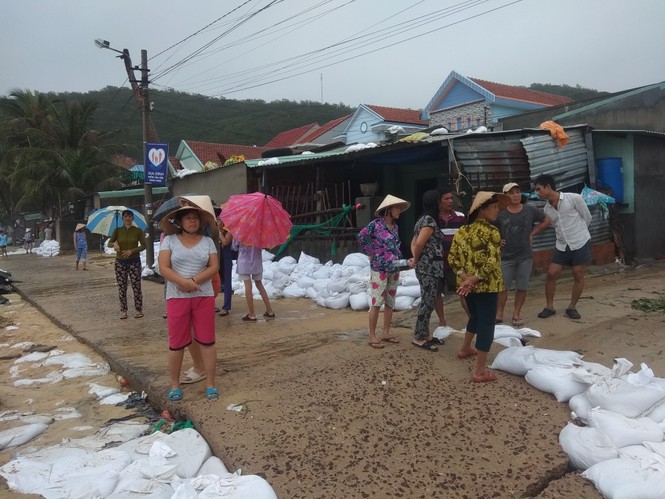 Bình Định ban bố tình trạng khẩn cấp, khẩn trương sửa kè biển bị sóng đánh sập - ảnh 2