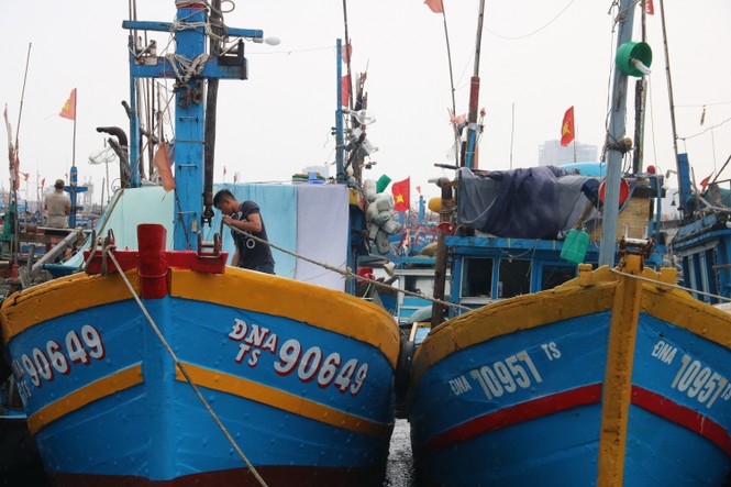 Bình Định lên phương án di dời hơn 1000 hộ dân trước dự báo bão đổ bộ - ảnh 3