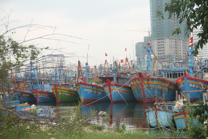 Người dân Quy Nhơn đổ xô xúc cát chèn chống nhà cửa - ảnh 8