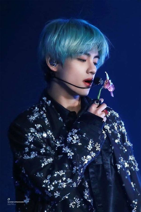 Điều gì làm nên những “cây hút fan” của các nhóm nhạc K-Pop? - ảnh 3