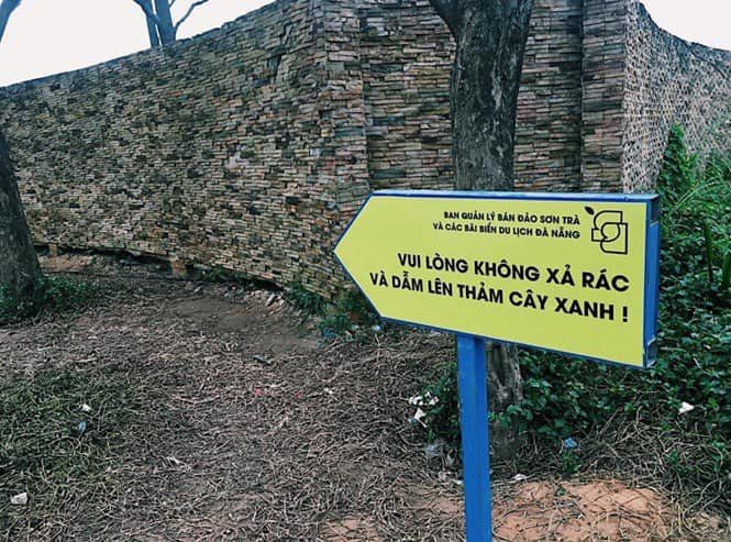 Đà Nẵng: Hai địa điểm check-in siêu hot của giới trẻ bất ngờ giương